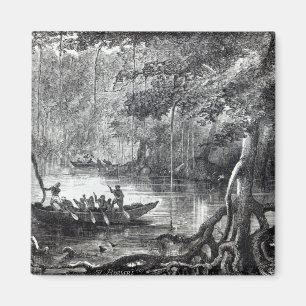 Íman Manguezais Forest