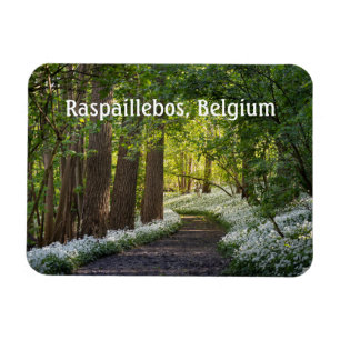 Íman Manhã de primavera em Raspaillebos, Bélgica