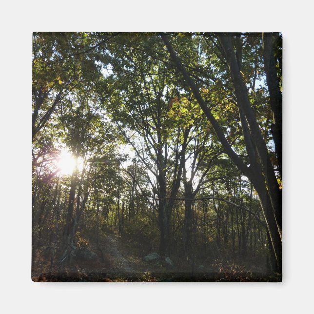 Íman Manhã do outono no Parque Nacional de Shenandoah (Frente)