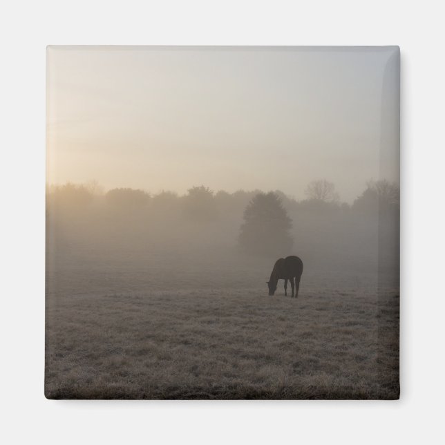 Íman Manhã do País (Frente)