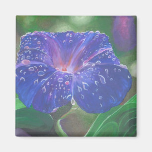 Íman Manhã Glória (Ipomoea Purpurea) Petais e Dew Dr.