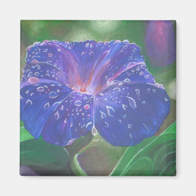 Íman Manhã Glória (Ipomoea Purpurea) Petais e Dew Dr. (Frente)