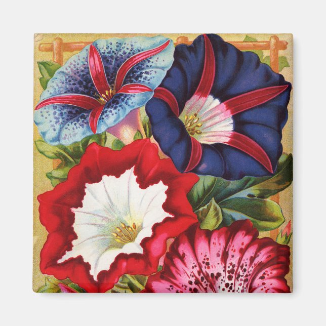 Íman Manhã - Glórias - Magnet (Frente)