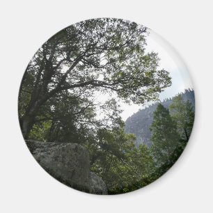 Íman Manhã na trilha para as quedas vernais em Yosemit