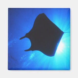 Íman Manta Ray Silhouette