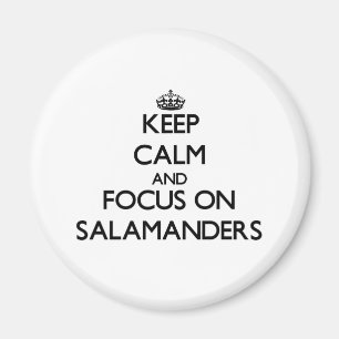 Íman Mantenha a calma e o foco em salamandras