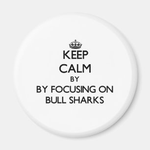 Íman Mantenha a calma focalizando em tubarões de Bull