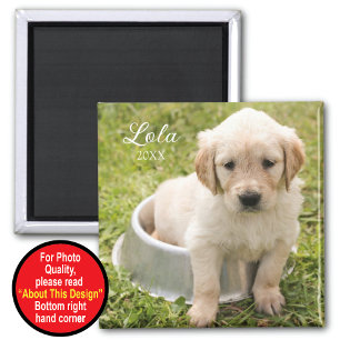 Íman Mantenha o ímã com foto