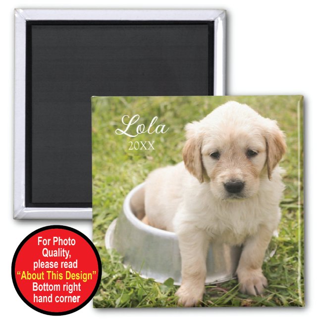 Íman Mantenha o ímã com foto (Criador carregado)