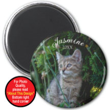 Mantenha o ímã com foto