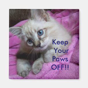 Íman Mantenha suas patas FORA!! ÍMÃ DO CACIFO