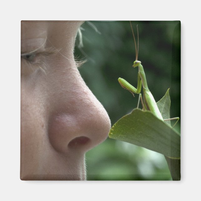 Íman Mantis religiosa (Frente)