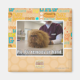 Íman Mão do ur do remoov do PLZ
