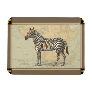 Íman Mapa africano e zebra