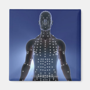 Íman Mapa claro de pontos da acupunctura