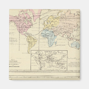 Íman Mapa da cor do Mundo