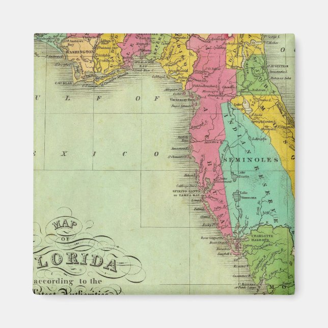 Íman Mapa da Flórida (Frente)