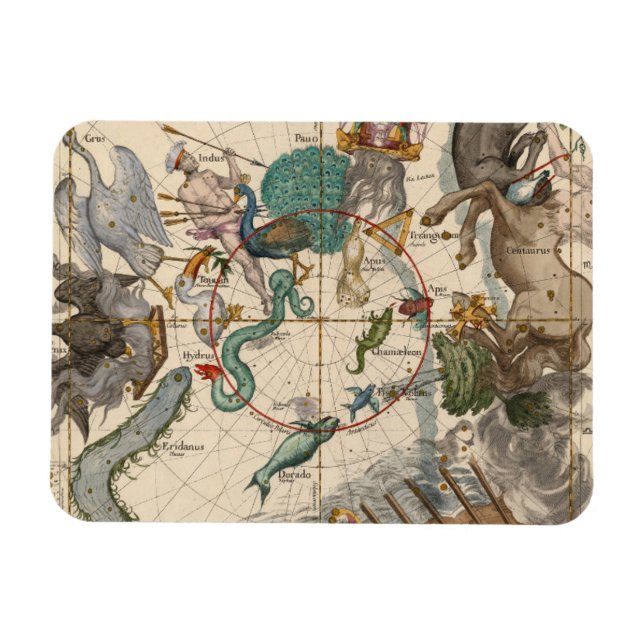 Íman Mapa da Vintagem do Polo Sul (Horizontal)