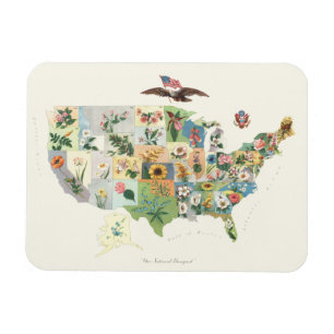 Íman Mapa das Flores dos Estados Unidos - Nosso Buquê 