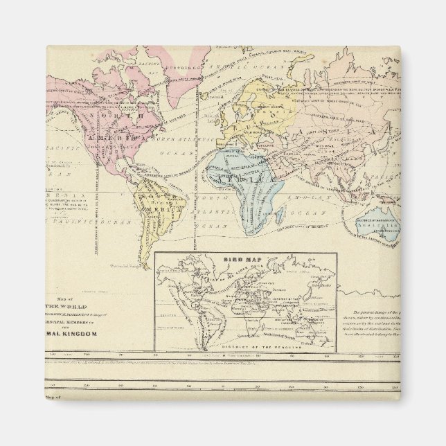 Íman Mapa em cor do Mundo (Frente)