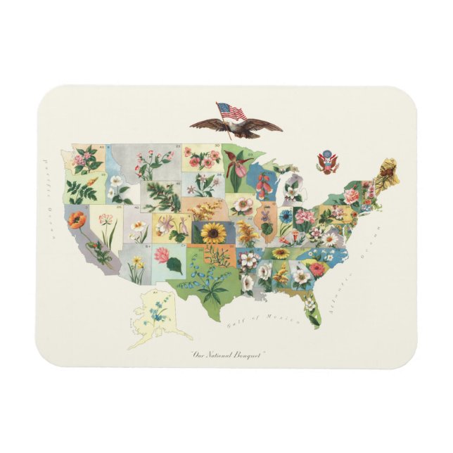 Íman Mapa Flor dos Estados Unidos - Nosso Buquê Naciona (Horizontal)