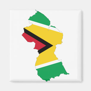 Íman Mapa GY da bandeira de Guyana