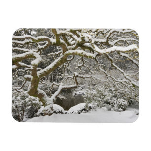 Íman Mapa japonês coberto de neve