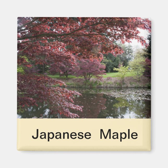 Íman Mapa japonês no Jardim Van Dusen (Frente)