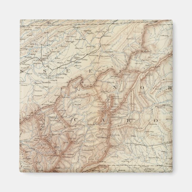 Íman Mapa VII de genes (Frente)