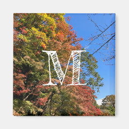 Íman Mapeamentos Coloridos Vibrantes