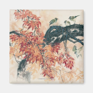 Íman Mapeamentos Vermelhos