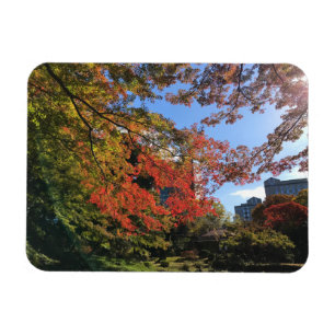 Íman Mapeamentos Vermelhos no Jardim Japonês