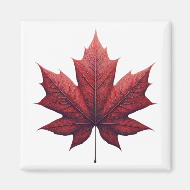 Íman Mapel Leaf, Ahornblatt (Frente)