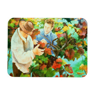 Íman Máquinas desbastadoras 1996 da uva