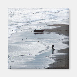 Íman Mar a caminho da costa ao anoitecer