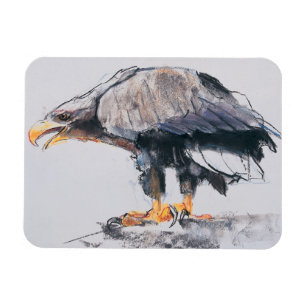 Íman Mar Eagle atado branco 2001
