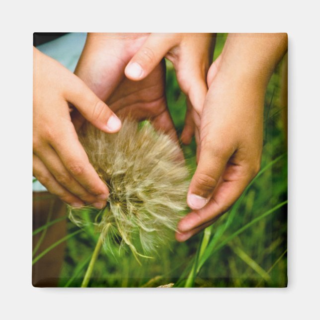 Íman Maravilha da Natureza (Frente)