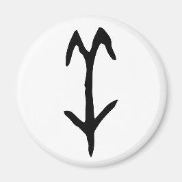 Íman Maravilhoso Chinês Zodiac-Goat-#001-