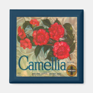 Íman Marca Magnet Vintage Camellia