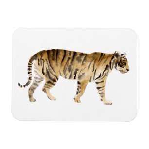 Íman Marcha de Tigre de Aquarela