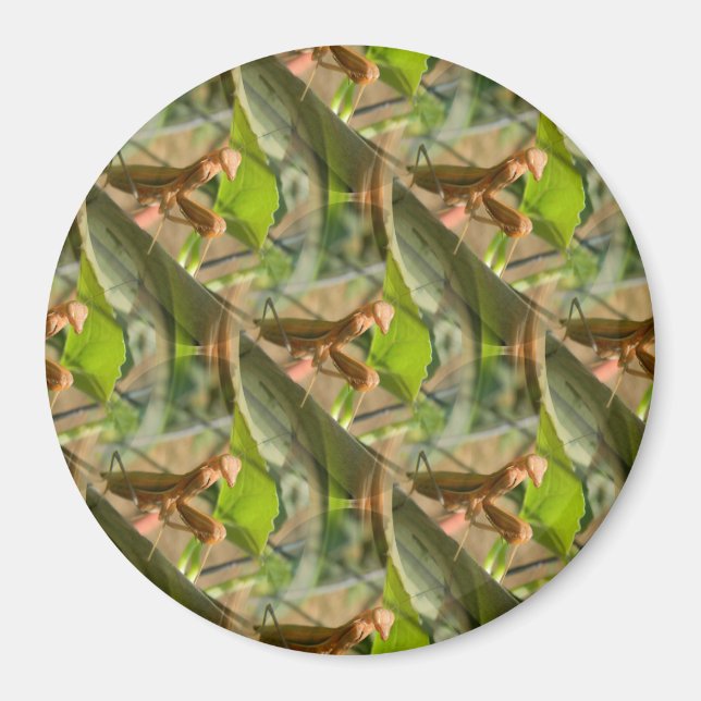 Íman Marchin 'On'... (Frente)