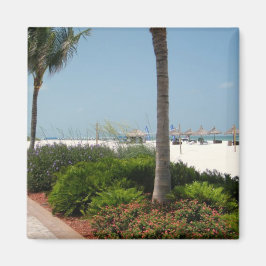 Íman Marco Island, FL