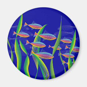 Íman Marcos de Fundo