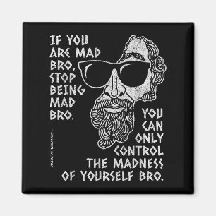 Íman Marcus Aurelius Stoic Filósofo Antigo Romano Jo