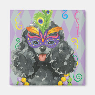 Íman Mardi Gras Toy Poodle