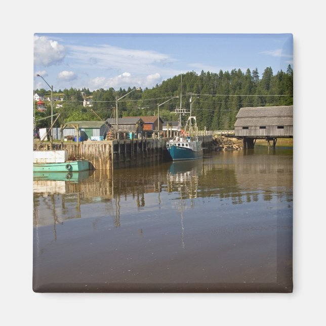 Íman Maré média na Baía de Fundy em St. Martins, New (Frente)