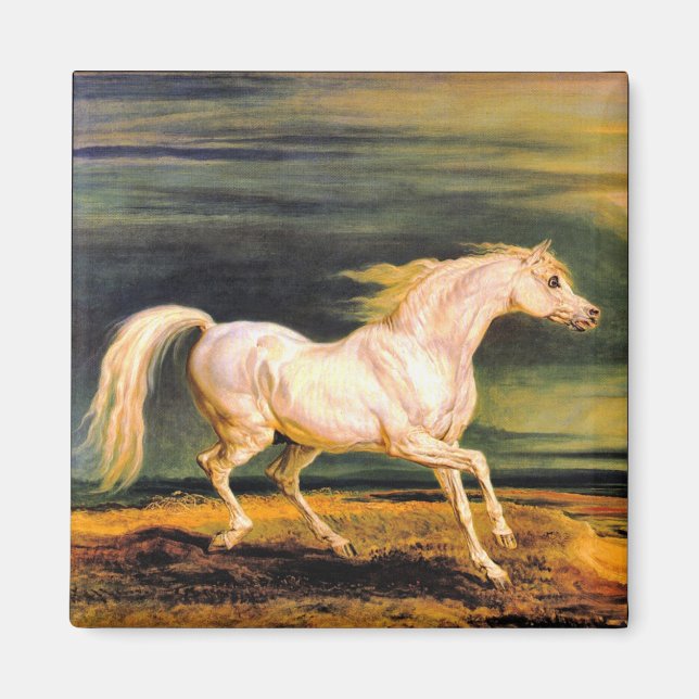 Íman Marengo de Napoleão (Frente)