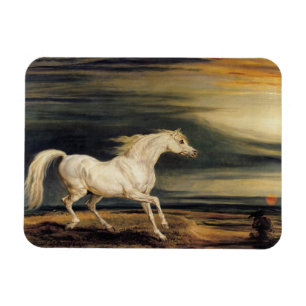 Íman Marengo, o Cavalo Branco