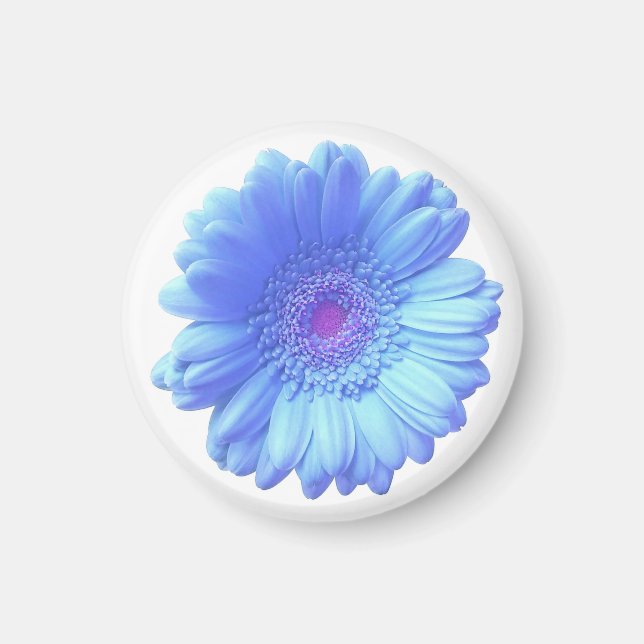 Íman Margarida azul-gerbera (Frente)