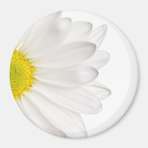 Íman Margaridas personalizadas fundo da flor da